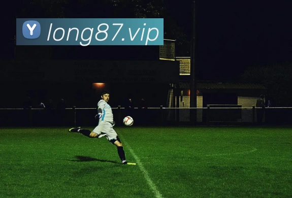 龙8-long8(国际)官方网站APP 封面图